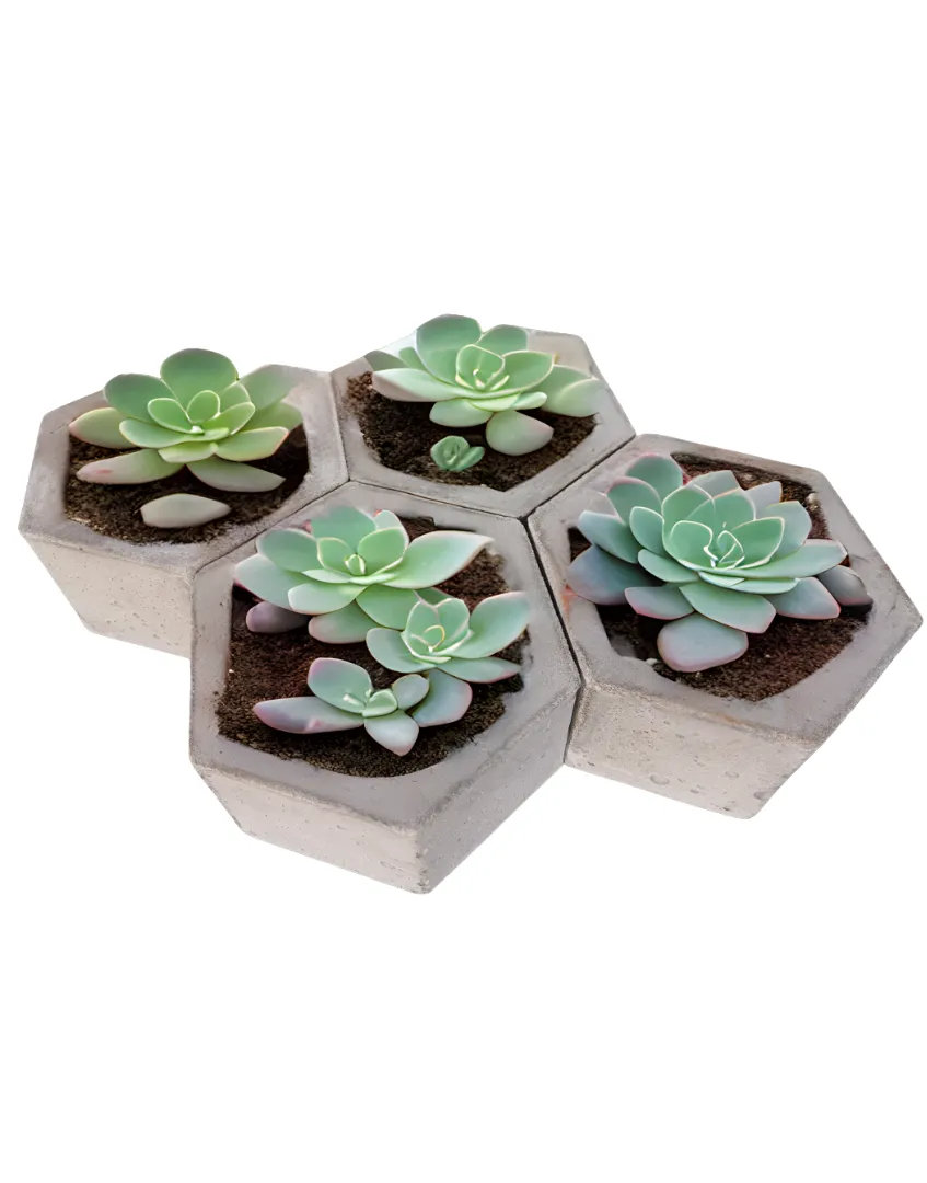 Handcrafted Product 16